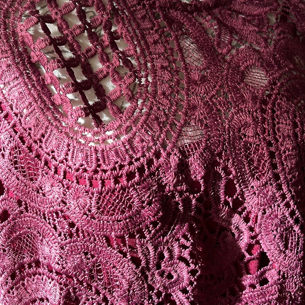Lace plum top nwot with scalloped hem and long sleeves. Fully lined